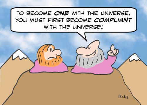 'To become ONE with the Universe, you must first become COMPLIANT with the Universe!'