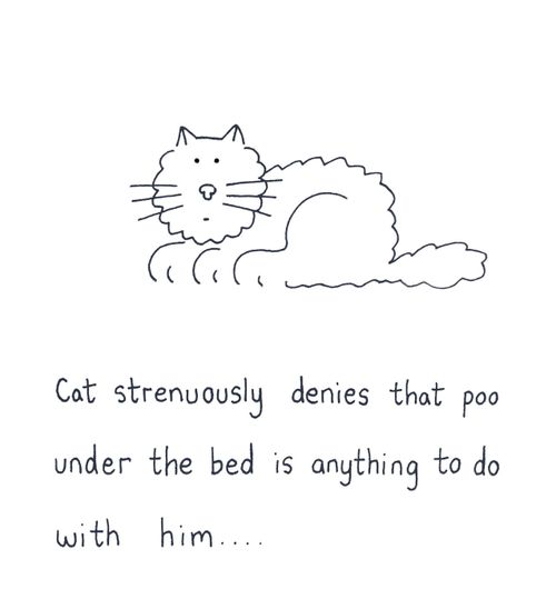 Cat strenuously denies hat poo under the bed is anything to do with him...