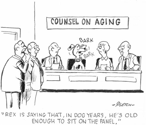 'Rex is saying that, in dog years, he's old enough to sit on the panel.'