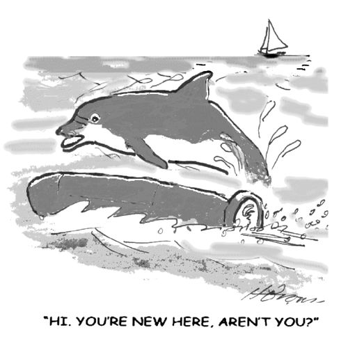 'Hi. You're new here, aren't you?'