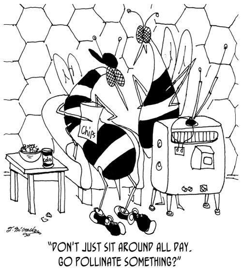 'Don't just sit around all day. Go pollinate something?'
