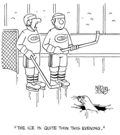 'The ice is quite thin this evening.'