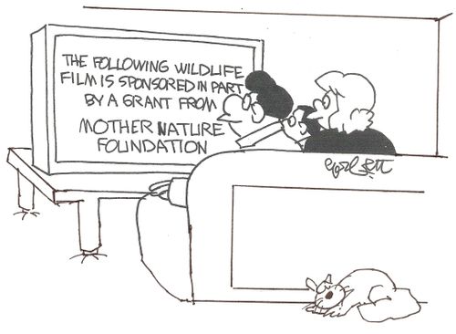 The following wildlife film is sponsored in part by a grant from...Mother Nature Foundation.