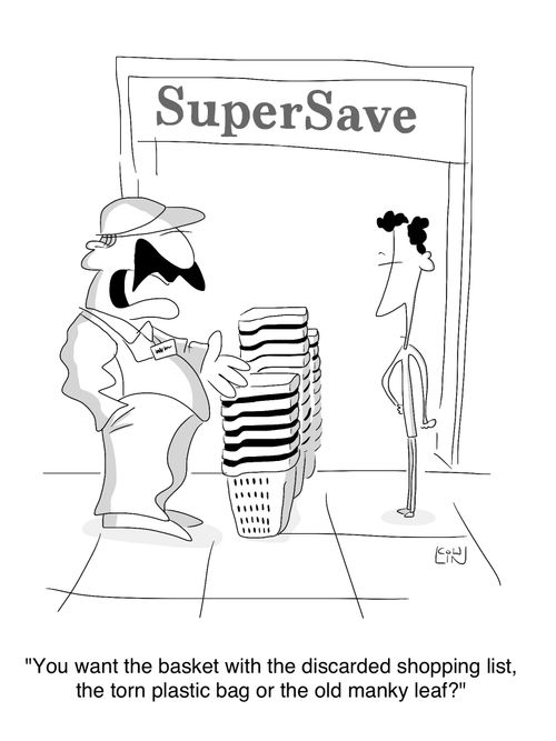 'You want the basket with the discarded shopping list, the torn plastic bag or the old manky leaf?'