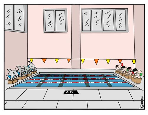 Swim meet - sharks vs. humans