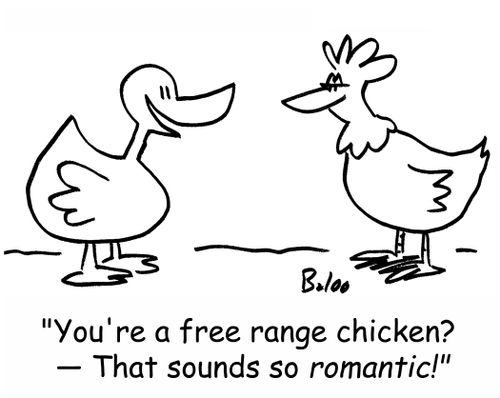 'You're a free range chicken? -- That sounds so romantic!'