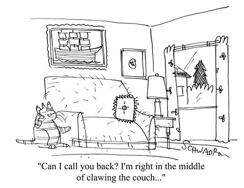 'Can I call you back? I'm right in the middle of clawing the couch...'