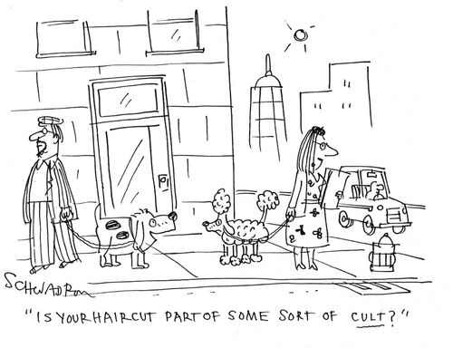 'Is your haircut part of some sort of cult?'