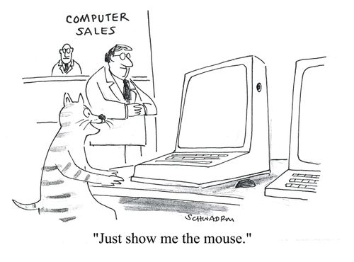 'Just show me the mouse.'