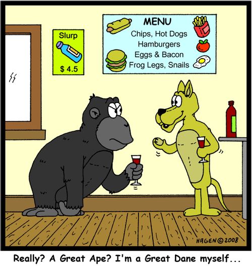 'Really? A Great Ape? I'm a Great Dane myself...'