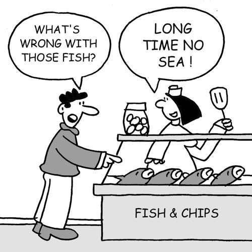 What's wrong with those fish? Long time, no sea!