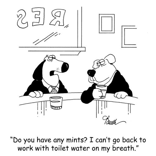 'Do you have any mints? I can't go back to work with toilet water on my breath.'