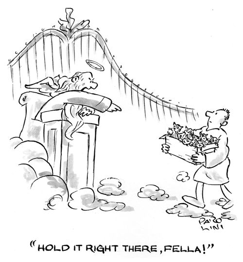 'Hold it right there, fella!'