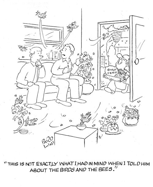 'This not exactly what I had in mind when I told him about the birds and the bees.'