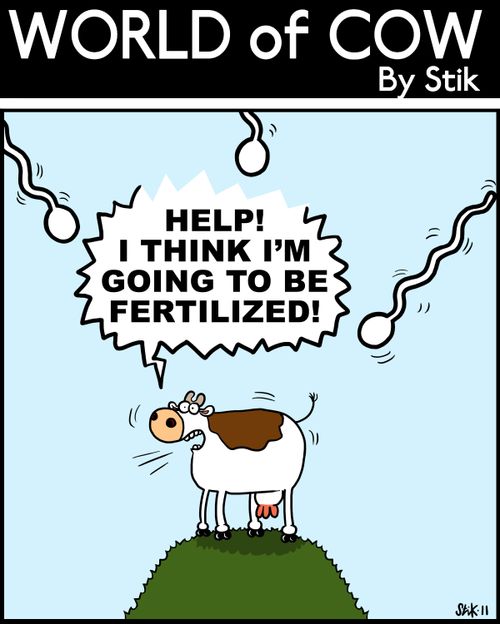 'Help! I think I'm going to be fertilized!'