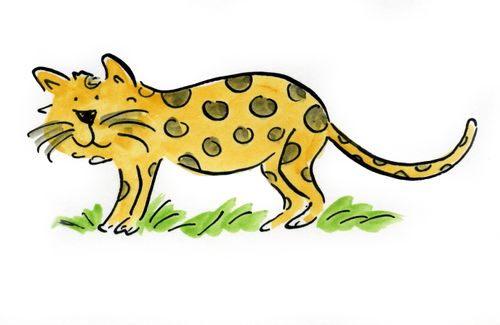 Leopard