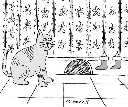Cat hangs Christmas stockings.