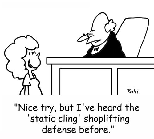 'Nice try, but I've heard the 'static cling' shoplifting defense before.'
