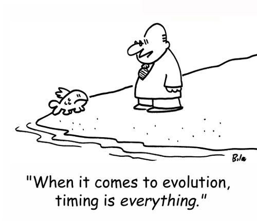 'When it comes to evolution, timing is EVERYTHING.'