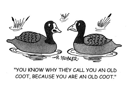 'You know why they call you an old coot, because you are an old coot.'
