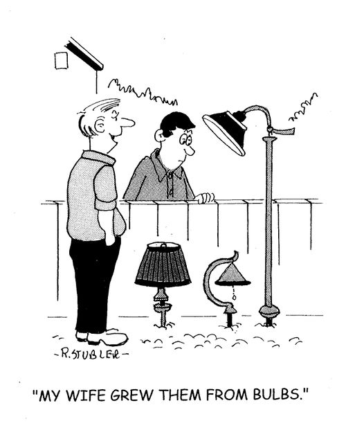 'My wife grew them from bulbs.'