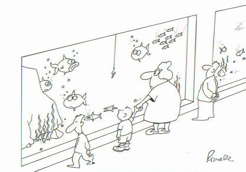 Aquarium