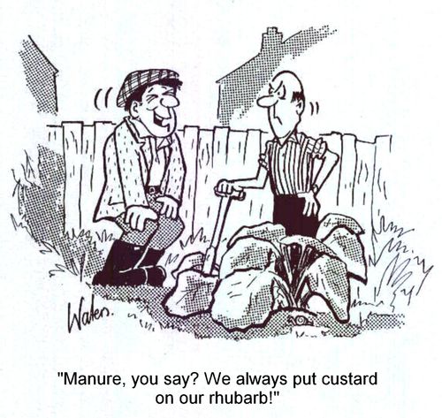 'Manure, you say? We always put custard on our rhubarb!'