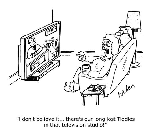 'I don't believe it... there's our long lost Tiddles in that television studio!'
