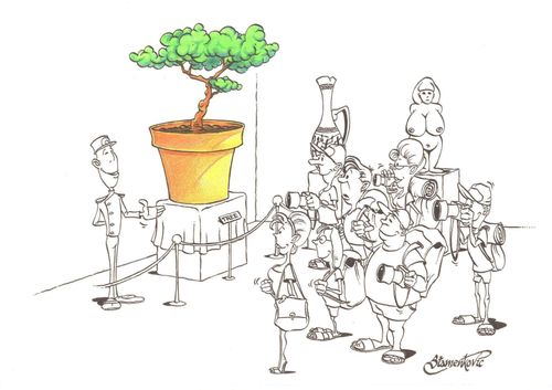 Tree in a museum.