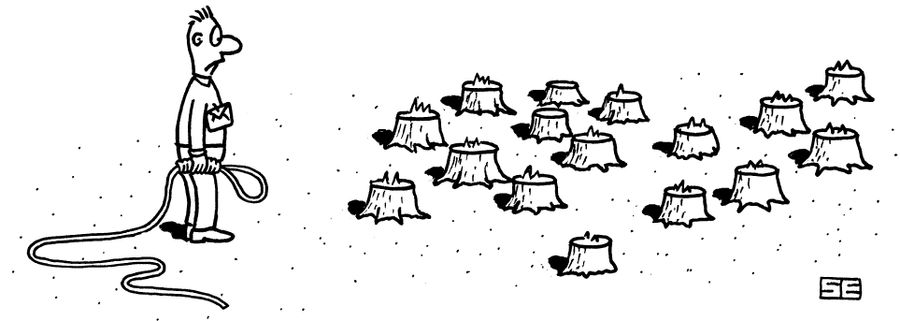 Only Stumps Left to Lasso