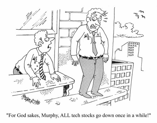 "For God sake, Murphy, ALL tech stocks go down once in a while!"