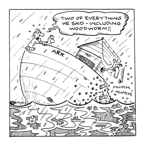 "Two of everything he said, including woodworm!!"