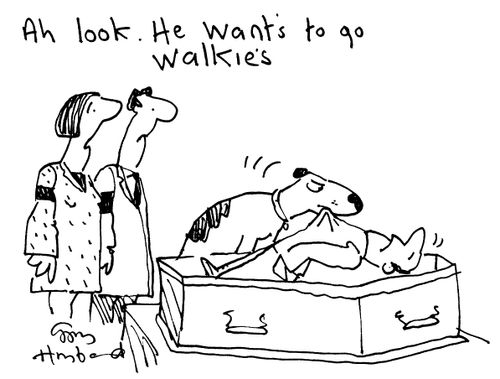 "Ah look. He wants to go walkies."