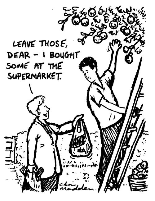 "Leave those,dear - I bought some at the supermarket."