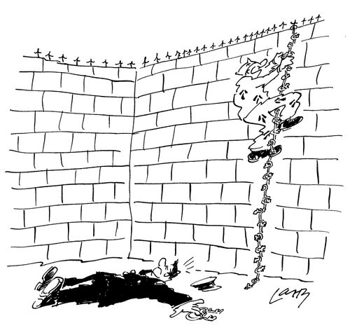 Prisoner escapes over wall on rope made of prison keys