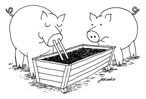 Pig with straws
