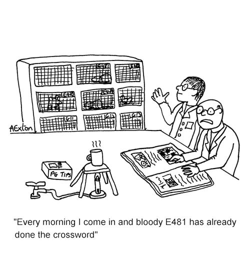 'Every morning I come in & bloody E481 has already done the crossword.'