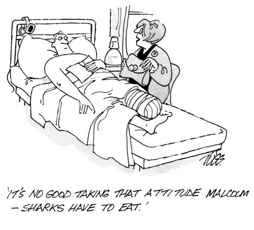 'It's no good taking that attitude Malcolm - sharks have to eat!'