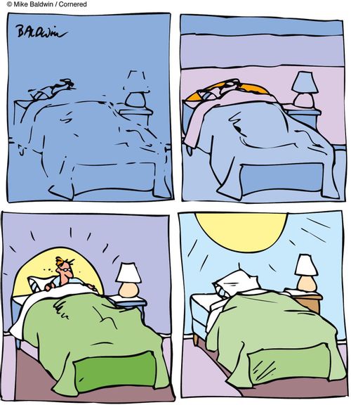 Rise and shine