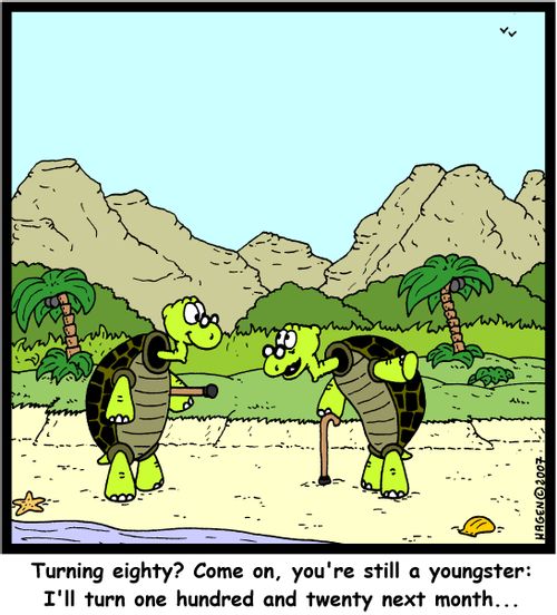 'Turning eighty? Come on, you're still a youngster: I'll turn one hundred and twenty next month...'