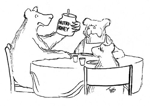 Bear eating Nutri-Honey.