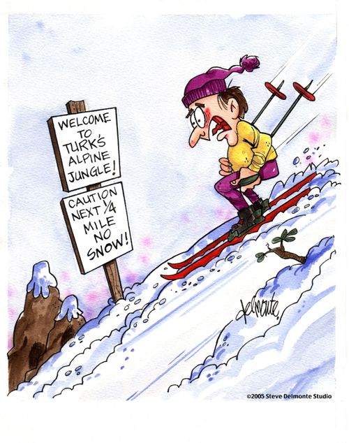 Skier sees a sign while skiing down mountain: Welcome To Turk's Alpine Jungle Caution next 1/4 Mile No Snow.