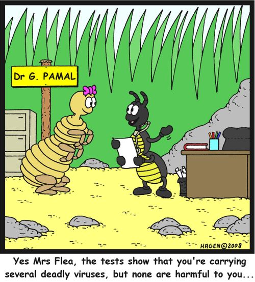 'Yes Mrs Flea, the tests show that you're carrying several deadly viruses, but none are harmful to you...'