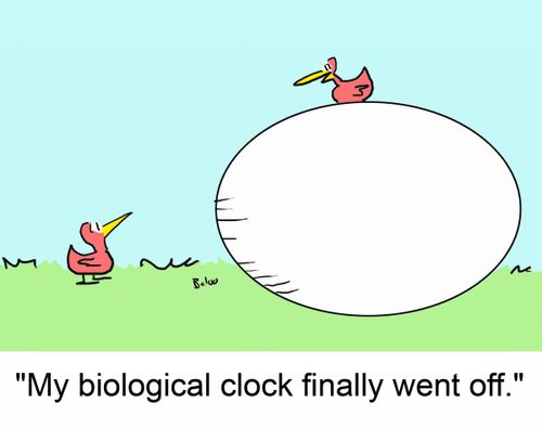 'My biological clock finally went off.'
