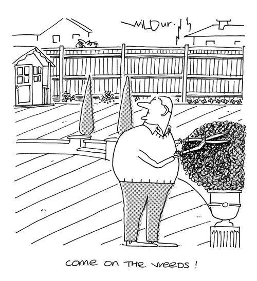 'Come on the weeds.'