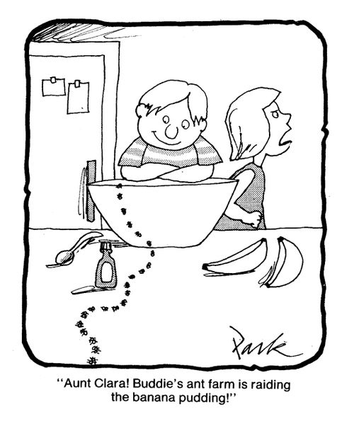 'Aunt Clara! Buddie's ant farm is raiding the banana pudding!'