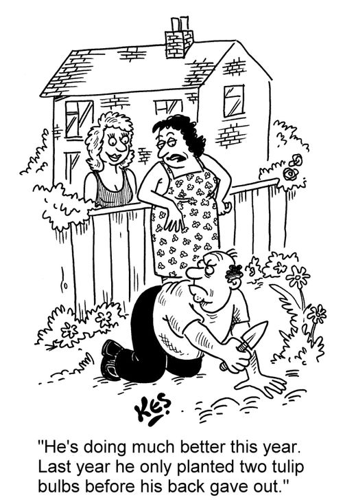'He's doing much better this year. Last year he only planted two tulip bulbs before his back gave out.'