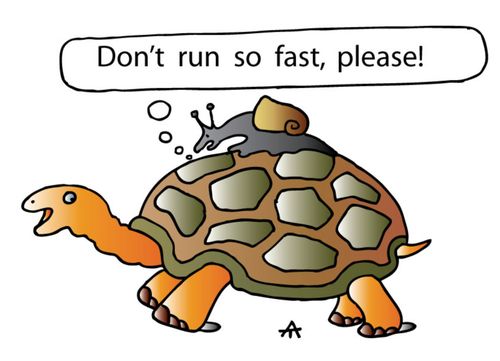 'Don't run so fast, please.'