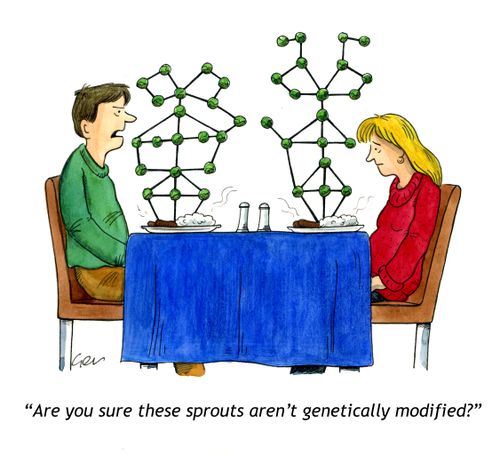 'Are you sure these sprouts aren't GM?.'