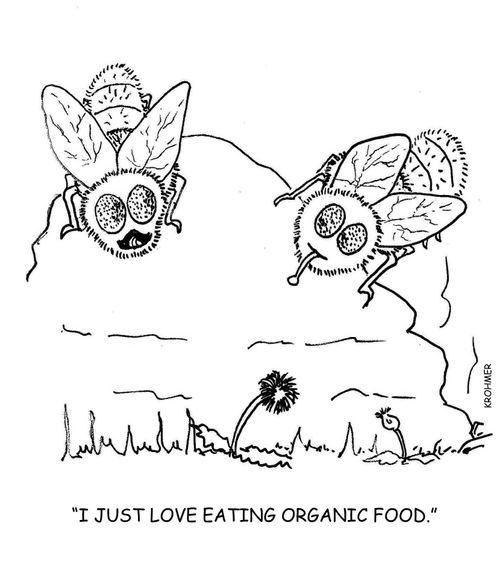 'I just love eating organic food.'